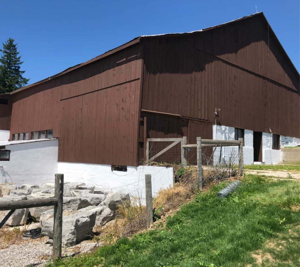 Barn painting and restoration in Wellington County